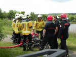photo375
